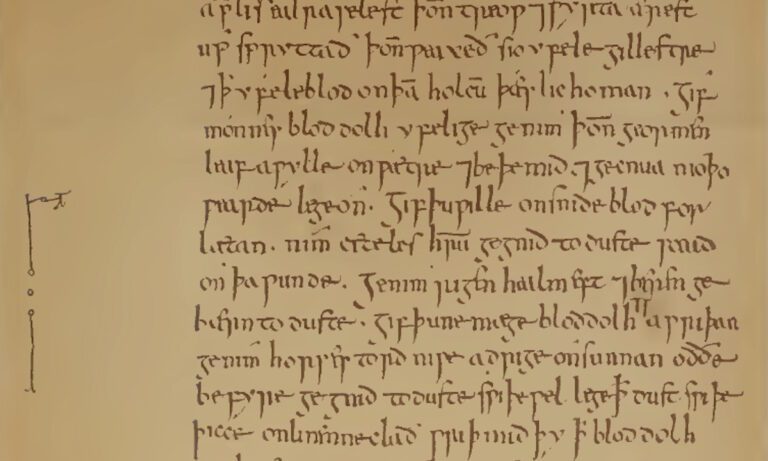 Βρήκαν αηδιαστική συνταγή για φάρμακο 1200 χρόνων με χολή αγελάδας, αλλά την έφτιαξαν και είδαν ότι ήταν αποτελεσματική