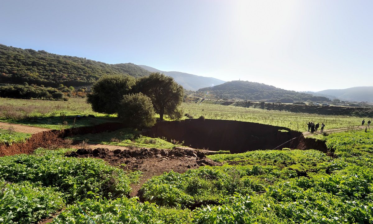 Το μυρμήγκι αν ήταν άνθρωπος θα σήκωνε ένα αυτοκίνητο