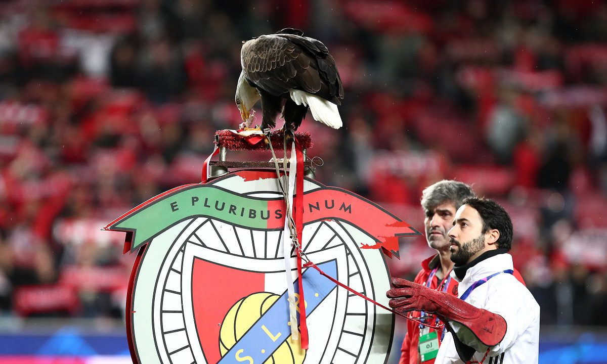 Αυτό είναι το όνομα του Αετού που πετάει στα ματς της Μπενφίκα