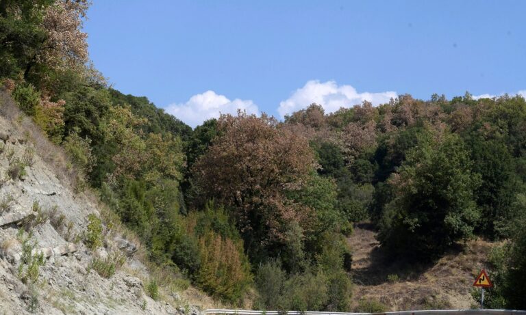 Πως καταστράφηκε ο πολιτισμός των Μάγια