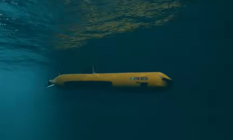 Το BlueWhale της Ελλάδας καταπίνει το τουρκικό NETA 300