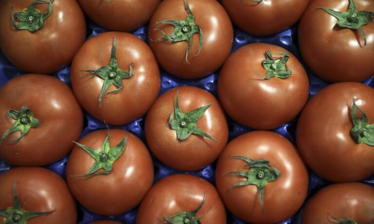 Η ντομάτα είναι λαχανικό, όχι φρούτο, υπάρχει απόφαση από το Ανώτατο Δικαστήριο των ΗΠΑ! Η απόλυτη ανατροπή!