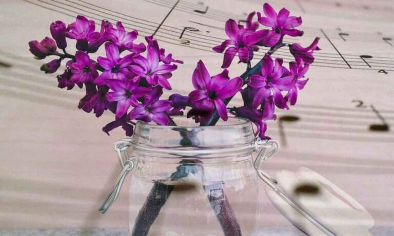 8 Μαΐου: Τραγούδια και αφιερώσεις για όσους γιορτάζουν