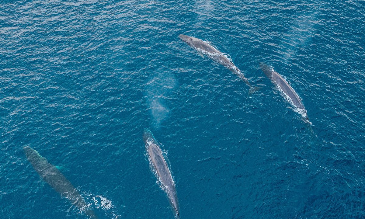 Τα 3 σημεία στη Γη που η θάλασσα και οι Ωκεανοί συναντιούνται