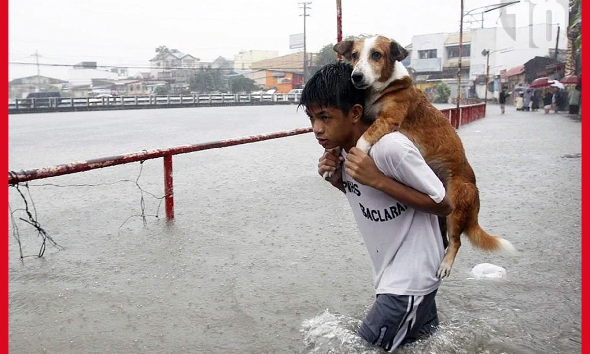 Μέσα στη φονική καταιγίδα, ένα αγόρι έκανε το αδιανόητο για τον σκύλο του