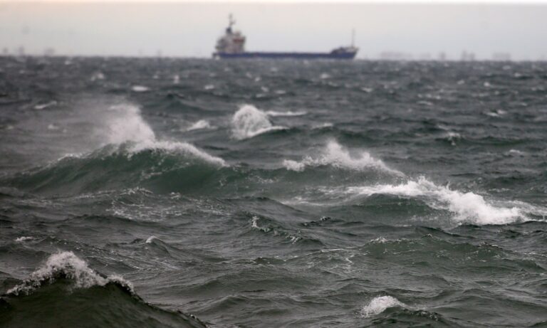Το ψάρι που τρώνε πολλοί αλλά έχει μεγάλη ποσότητα υδραργύρου