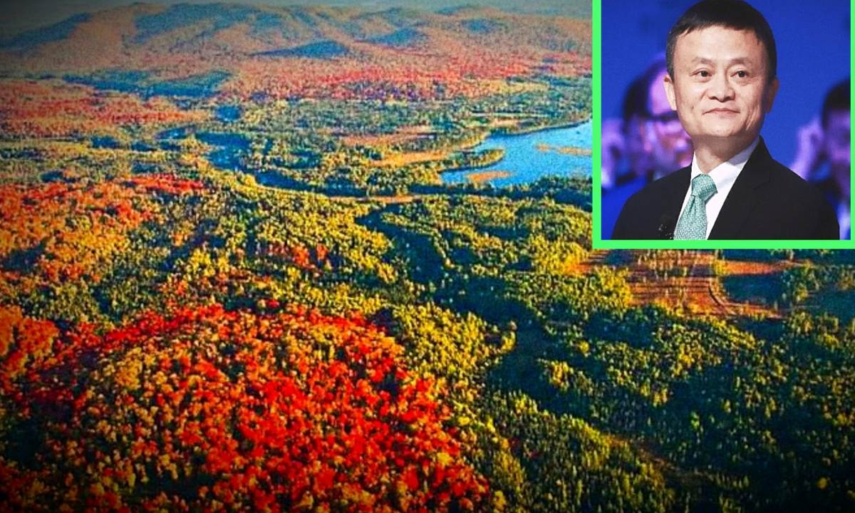 Ο δισεκατομμυριούχος που αγόρασε δάσος για να το προστατεύσει!