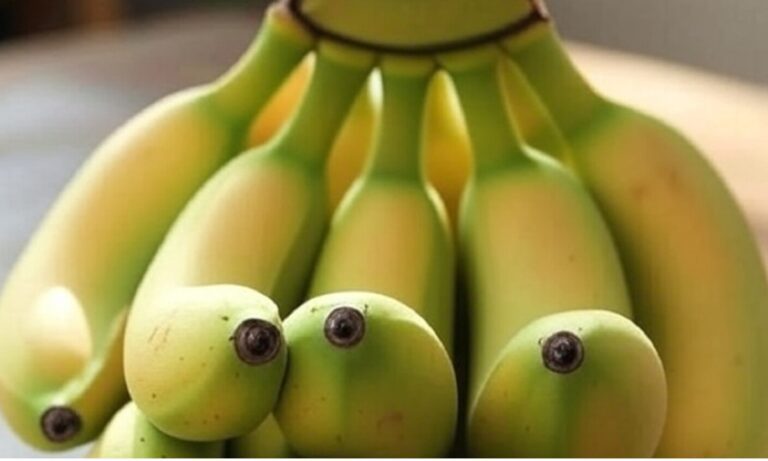 Μπανάνες στον Όλυμπο: Το σκάνδαλο ΟΠΕΚΕΠΕ που σοκάρει την Ελλάδα