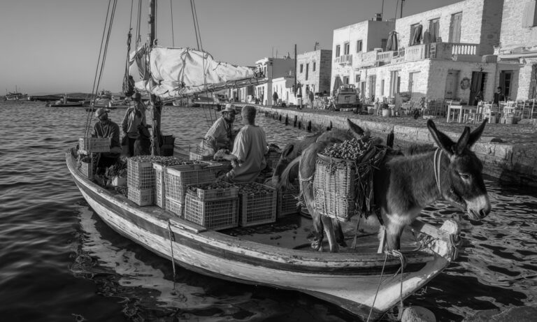 Στην Ελλάδα του 1880, αν είχες καΐκι και 3 γαϊδάρους, ήσουν εφοπλιστής