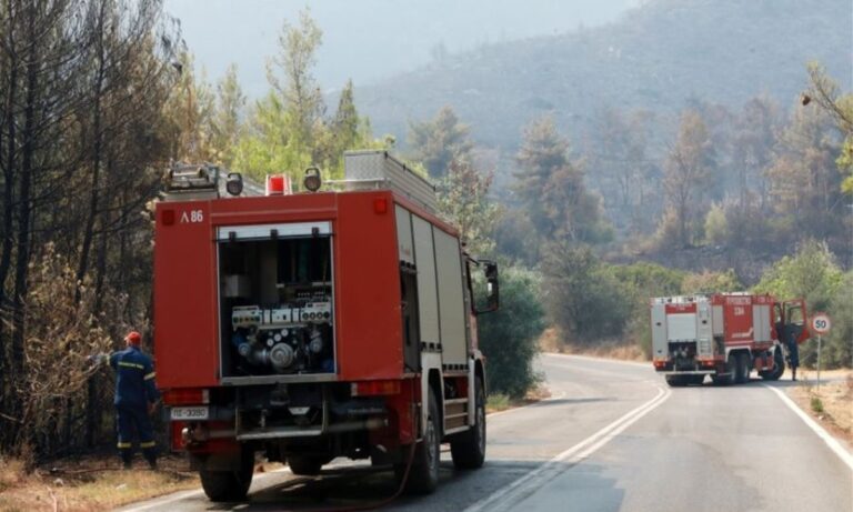 Συναγερμός για φωτιά: Στο πορτοκαλί έξι περιφέρειες της χώρας!