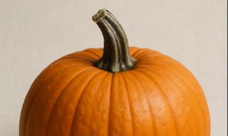 Κέρδισε 30.000 δολάρια επειδή είχε τη μεγαλύτερη κολοκύθα του κόσμου