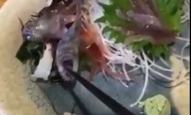 Πήγε να φάει σε ιαπωνικό εστιατόριο και το φαγητό του τού δάγκωσε το chopstick