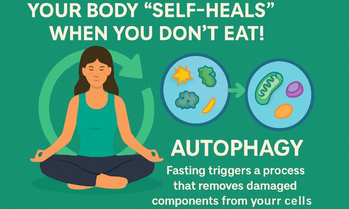 Ο οργανισμός σου αυτοθεραπεύεται όταν δεν τρως!