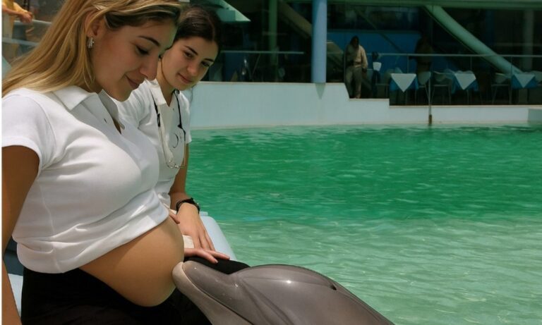 Όταν ένα δελφίνι ένιωσε το θαύμα της ζωής – Η συγκλονιστική στιγμή που «χαιρέτησε» ένα αγέννητο μωρό