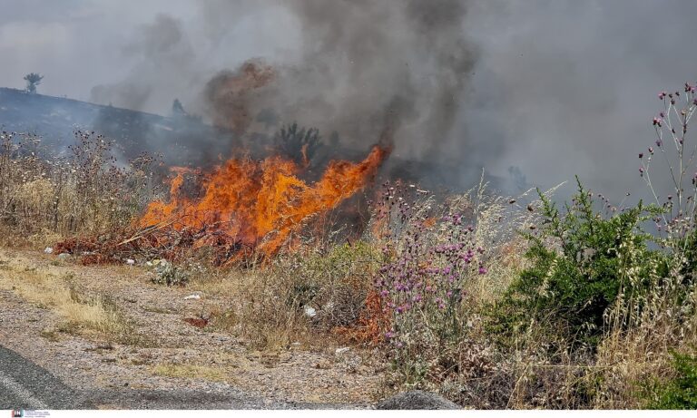 Πυρκαγιά στο Ασπροχώρι Ωρωπού Αττικής