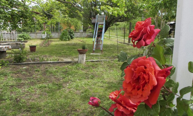 Σε πόσα χρώματα υπάρχουν τριαντάφυλλα