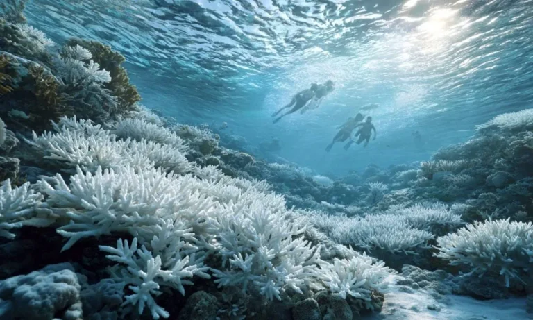 Η αόρατη ρύπανση του καλοκαιριού. Πώς το αντηλιακό μας δηλητηριάζει τις θάλασσες