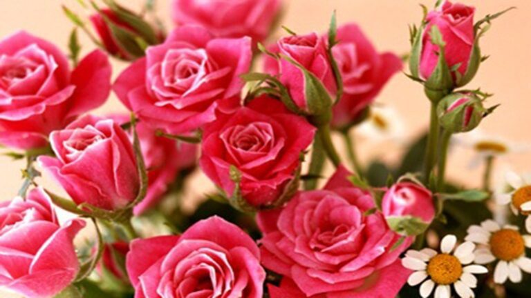 Ένα ωραίο τραγούδι για το «δύσκολο» όνομα που γιορτάζει σήμερα