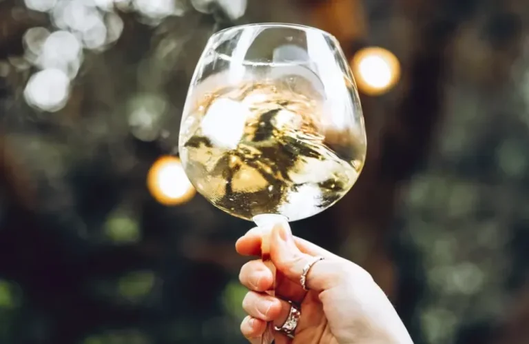 Είναι ιεροσυλία να βάζουμε πάγο στο κρασί ή όχι;