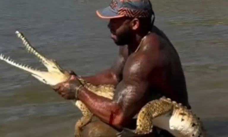 Influencer πάλεψε με κροκόδειλο στην Αυστραλία και προκάλεσε οργή