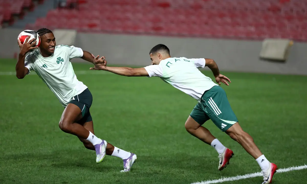 Παναθηναϊκός: Δεν πείθει οτι είναι για βασικός!