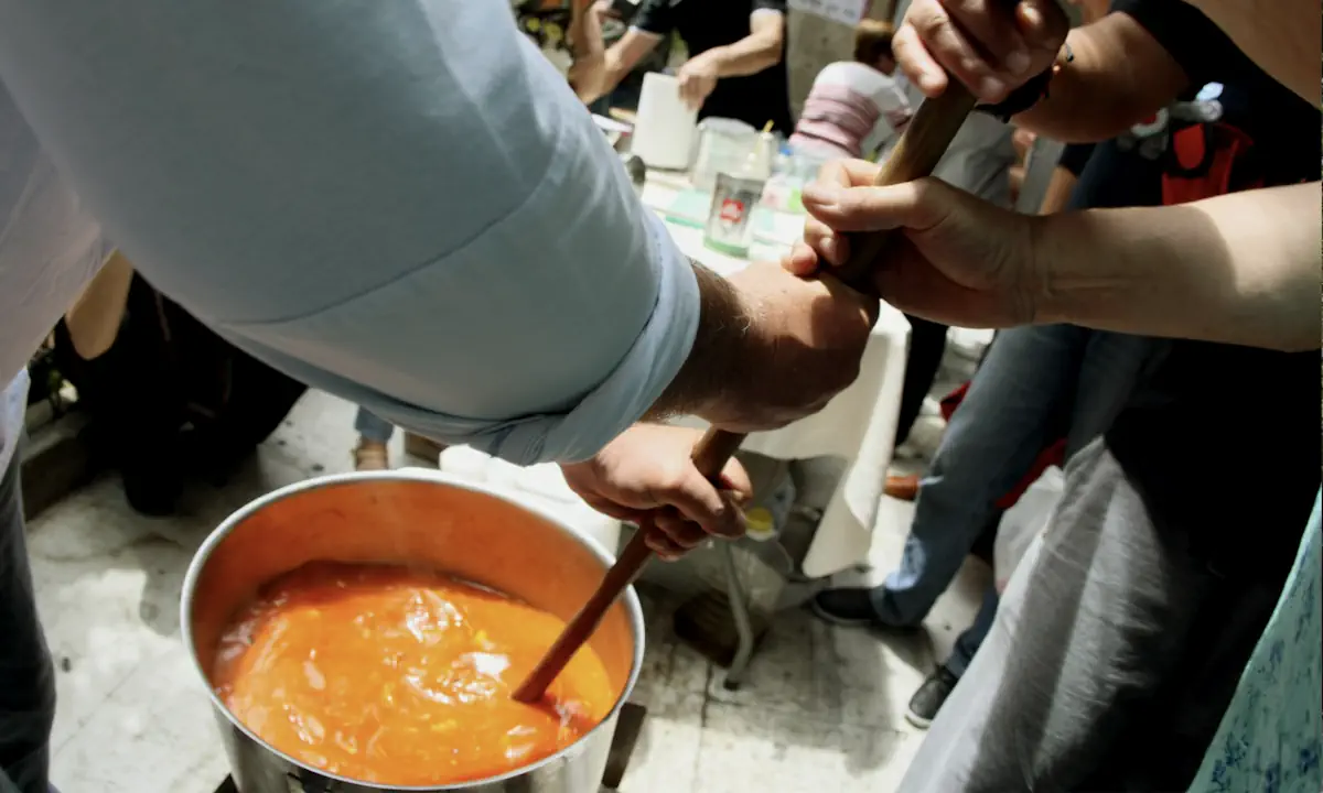 ΕΛΣΤΑΤ: Σοκάρει νέα έρευνα για την ανεπάρκεια τροφής στην Ελλάδα – Υποσιτίζονται 700.000 Έλληνες επί κυβερνήσεως Μητσοτάκη