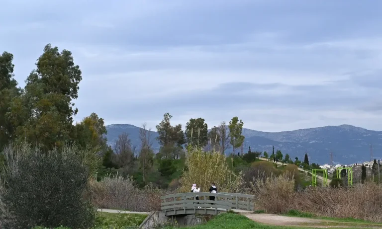 Μια «θάλασσα πρασίνου» μεταμορφώνει την Αττική