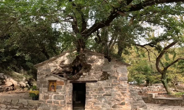 Must Read: Το εκκλησάκι στην Αρκαδία που… αψηφά τη λογική: 17 δέντρα στη στέγη του χωρίς ρίζες!