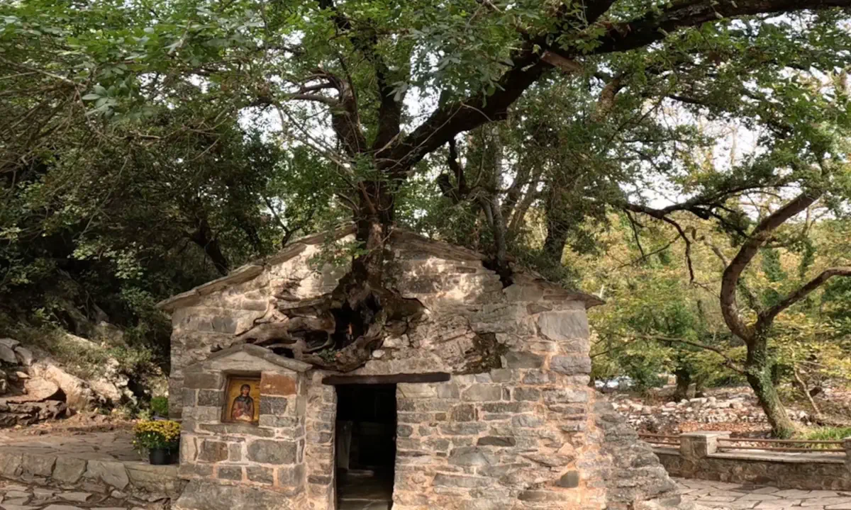 Το εκκλησάκι στην Αρκαδία που… αψηφά τη λογική: 17 δέντρα στη στέγη του χωρίς ρίζες!
