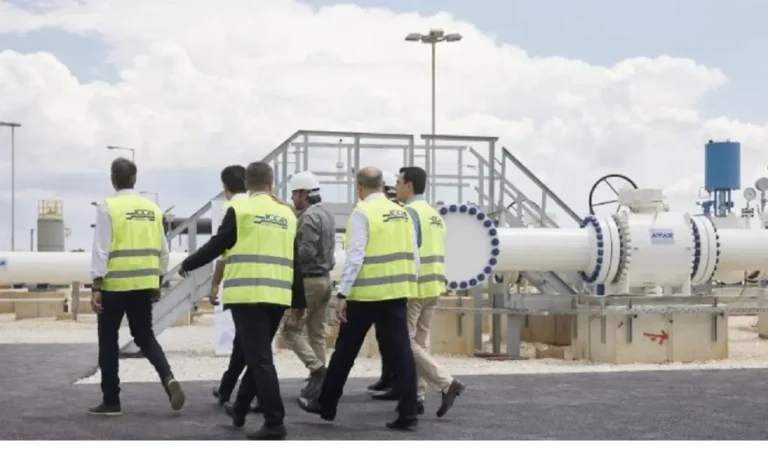 Ελληνοτουρκικά: Πανηγυρίζουν οι Τούρκοι επειδή δεν κατατέθηκε καμία προσφορά για τον κάθετο διάδρομο φυσικού αερίου