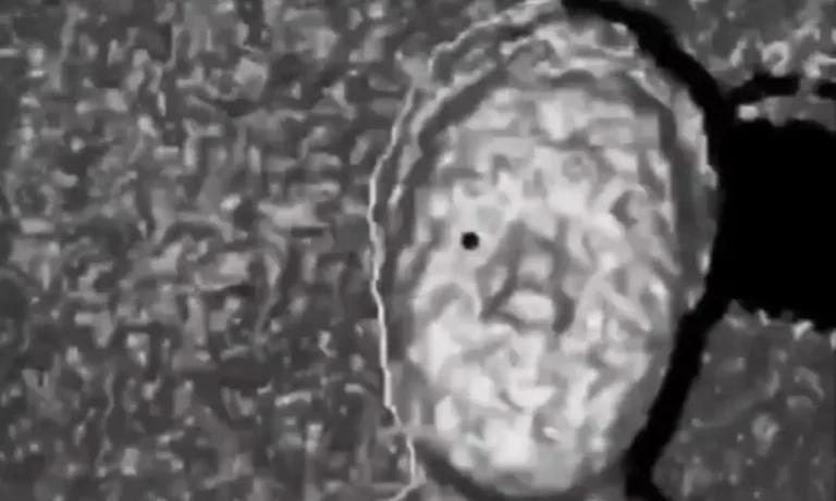 VIRAL: Έτσι σε «βλέπει» το iPhone σου: Πώς λειτουργεί το Face ID