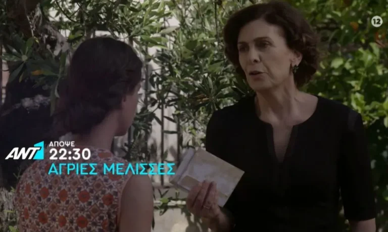 Media: Έρχονται οι νέες «Άγριες Μέλισσες»; Η Σύγκρουση μπαίνει στο παιχνίδι του Mega