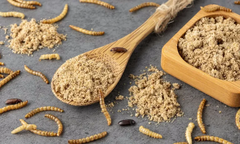 Κοινωνία: Η Κομισιόν δεν σταματά να προωθεί τα έντομα στη διατροφή παρά την αποστροφή των πολιτών – Σε ποια προϊόντα ενσωματώνονται