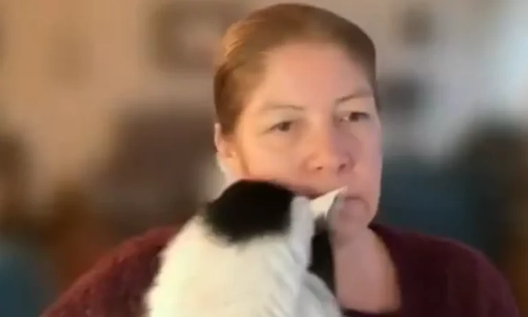 VIRAL: Γάτα διακόπτει με τον καλύτερο τρόπο ζωντανή τηλεοπτική συνέντευξη