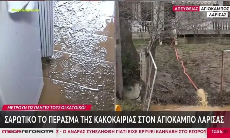 Media: MEGA: Πρωτιές στην τηλεθέαση και τον Ιανουάριο – Σταθερά στην κορυφή πριν τις μεγάλες πρεμιέρες