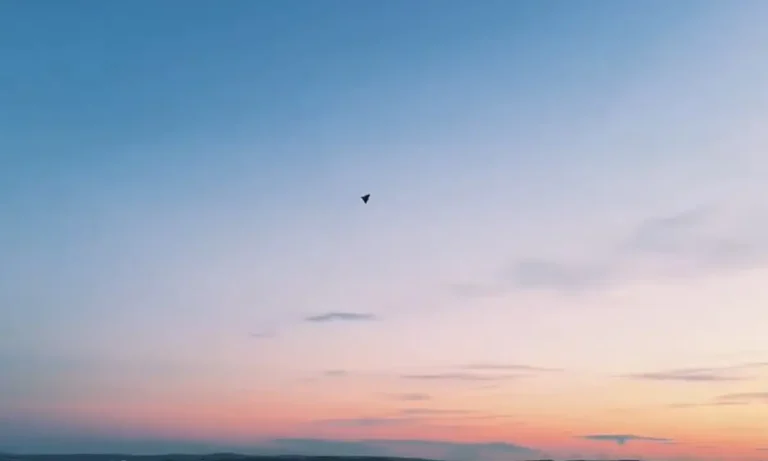 Ελληνοτουρκικά: Ενεργοποιήθηκαν τα τοyρκικά Kamikaze drones SKYDAGGER με εμβέλεια έως 100 χλμ.