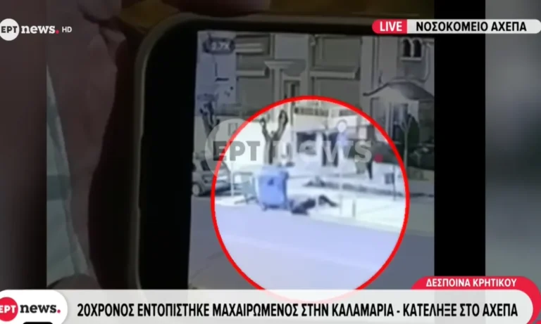 Ποδόσφαιρο: Βίντεο ντοκουμέντο από τη δολοφονική επίθεση στον 20χρονο οπαδό του ΠΑΟΚ στην Καλαμαριά! (vid)